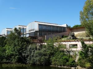 Complexe des gorilles
