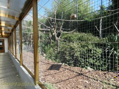 Volière des becs crochus - 2017