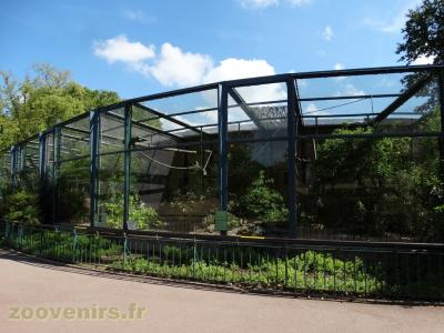 Gibbbon de Muller - 2017