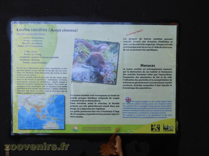 Panneau d'informations