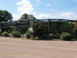 Saki à face blanche