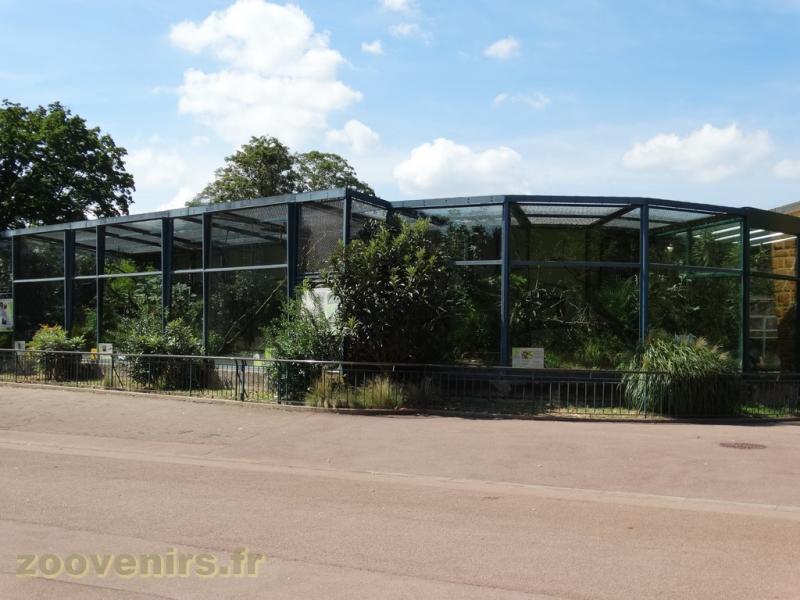 Saki à face blanche