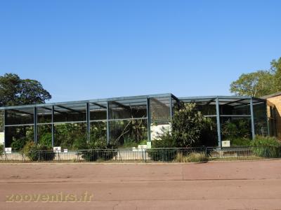 Callitrichidés - 2017