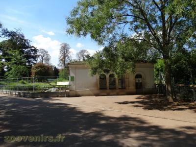 Crocodile d'Afrique de l'Ouest - 2017