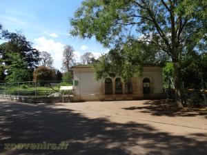 Crocodile d'Afrique de l'Ouest