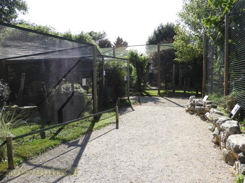Volières oiseaux