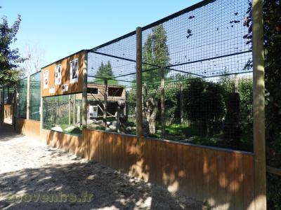 Vautour fauve -Corbeau Pie