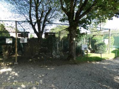 Chouette à lunettes