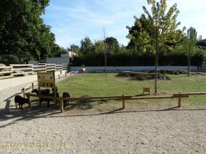 Mini-ferme