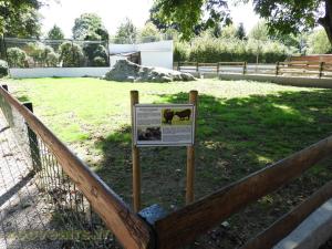 Mini-ferme 