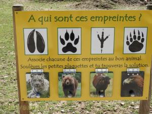 Mini-ferme