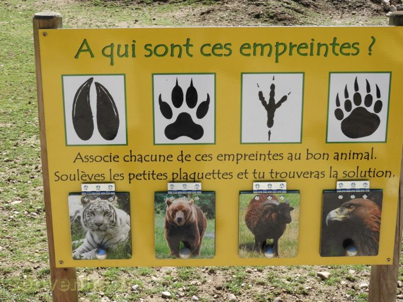 Mini-ferme