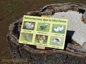 Mini-ferme 
