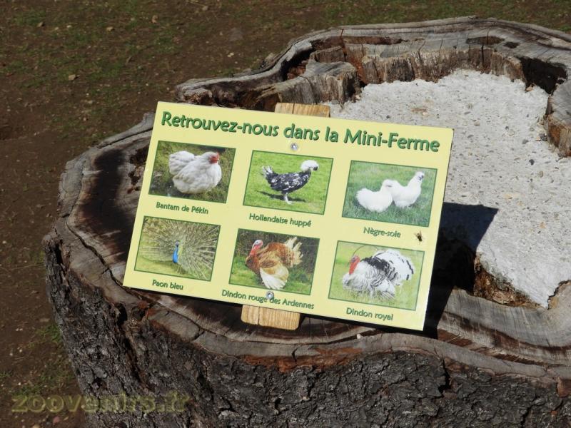 Mini-ferme 