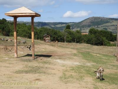 Zèbre de Hartmann - Cobe de Lechwe