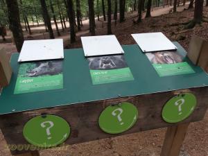 Parcours pédagogique