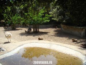 Pampa sud-américaine