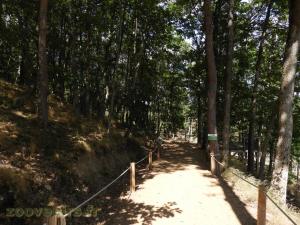 Parc des Lémuriens