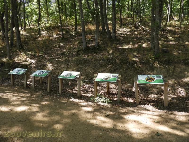 Parc des Lémuriens