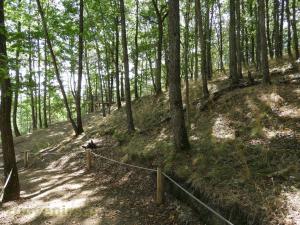 Parc des Lémuriens