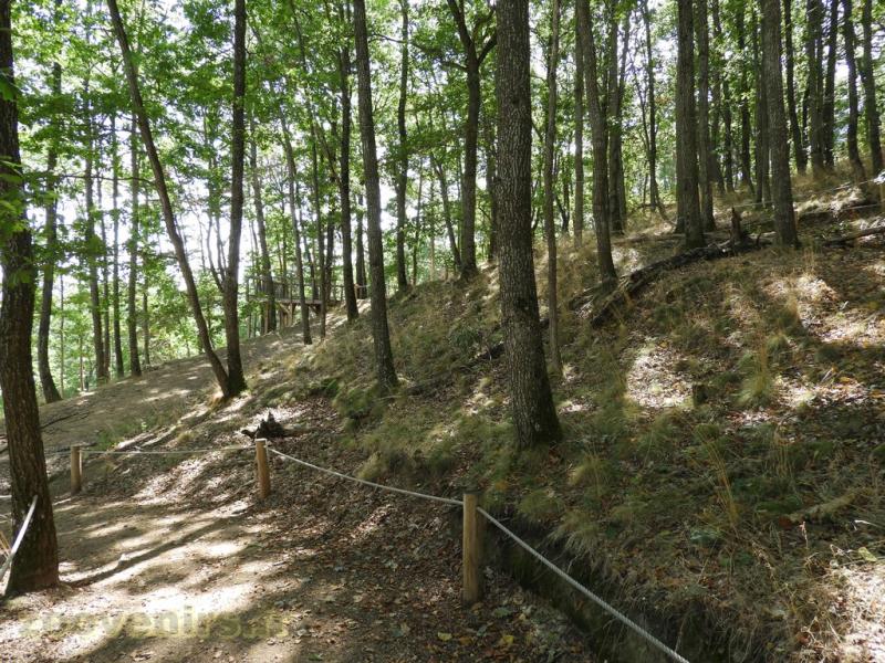 Parc des Lémuriens