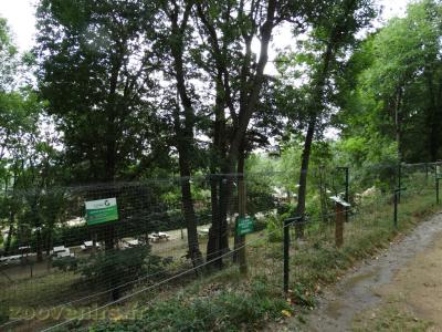 Binturong - Ecureuil  de Prévost