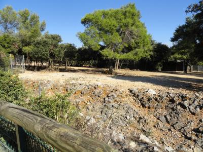 Plaine africaine - 2012