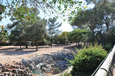 Plaine africaine - 2012