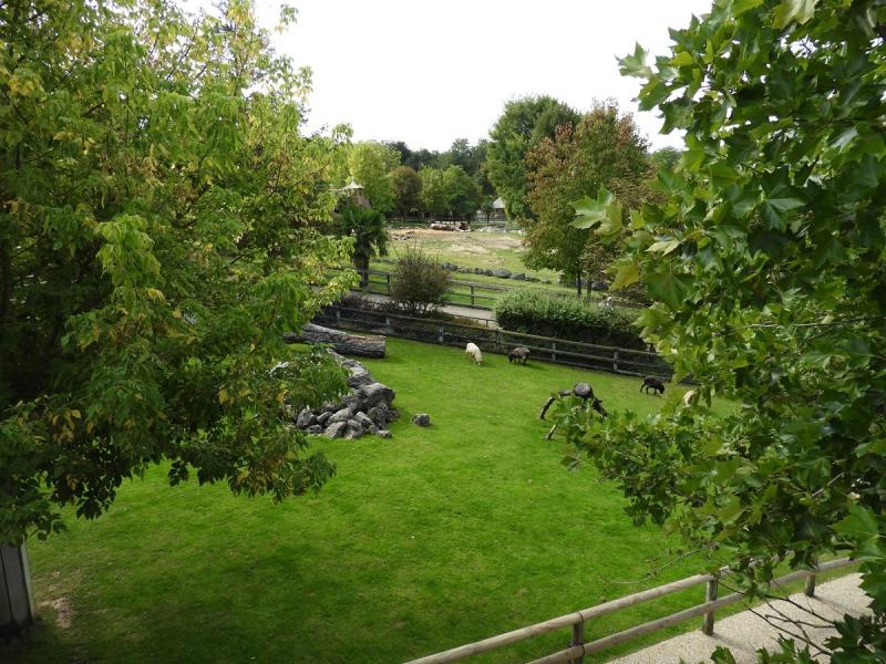 Mini-ferme