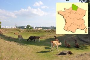 Hauts-de-France.JPG