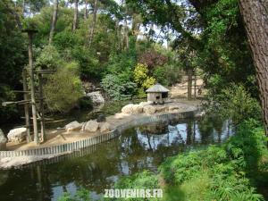 Gibbon à favoris roux