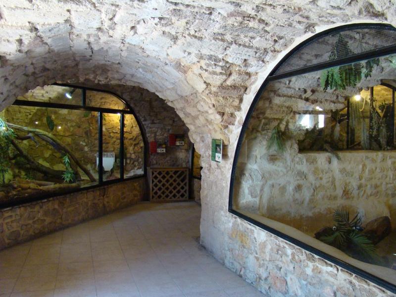 Le vivarium