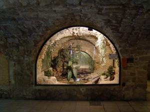 Le vivarium