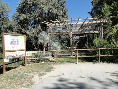 Ara chloroptère - 2010