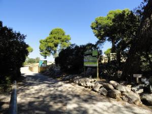 Plaine africaine