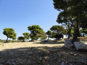 Plaine africaine
