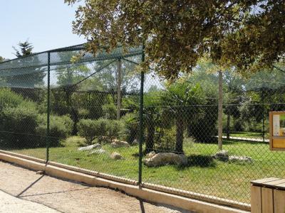 Ibis rouge - Grue couronnée - 2010