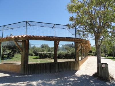 Panthère de Perse - 2010