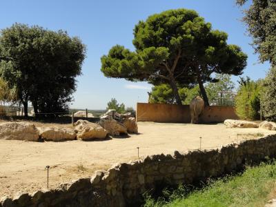 Eléphant d'Asie - 2010