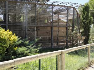 Mandrill