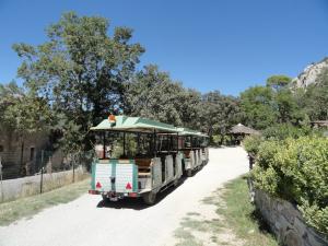 Le petit train
