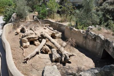 Porc-épic à crète - 2012