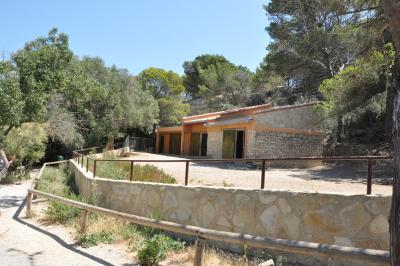 Zébre de montagne - 2012