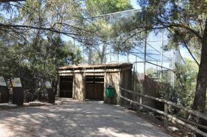 Pintade vulturine - Faisan de Wallich- Ibis sacré