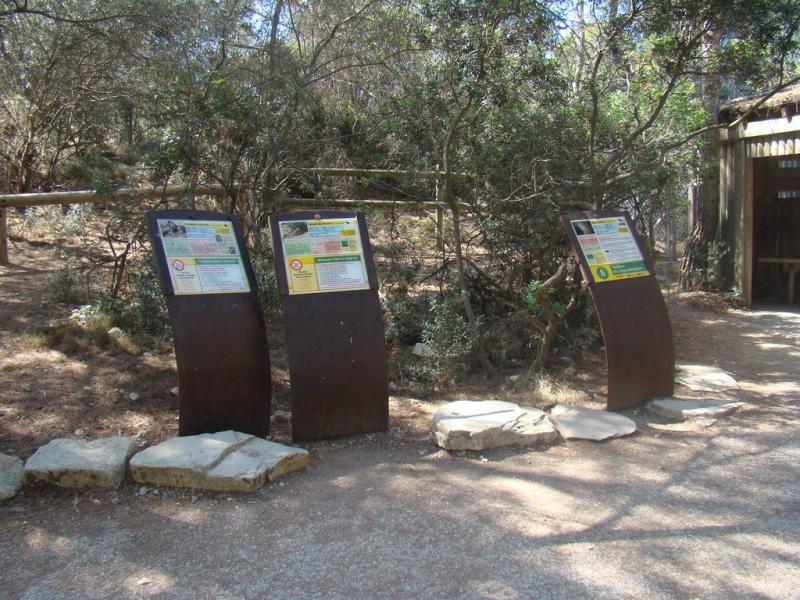 Pintade vulturine - Faisan de Wallich- Ibis sacré