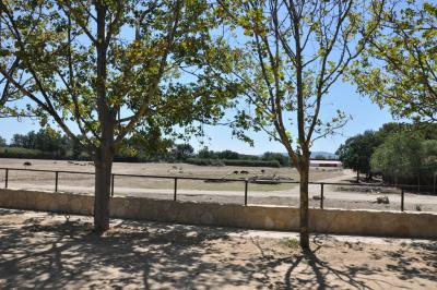 Plaine africaine - 2012