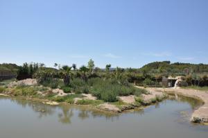 Alligator du Mississippi