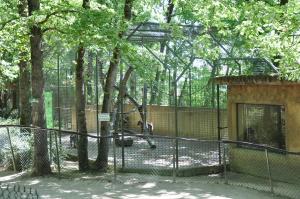 Mandrill