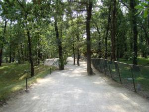 Panthère