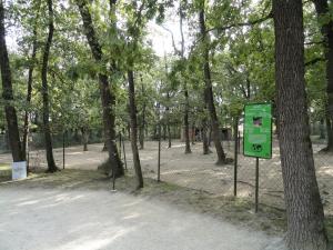 Nilgaut